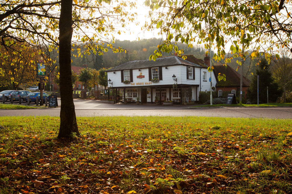 فندق The White Hart ستوكبريدج المظهر الخارجي الصورة